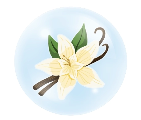 Vanilla