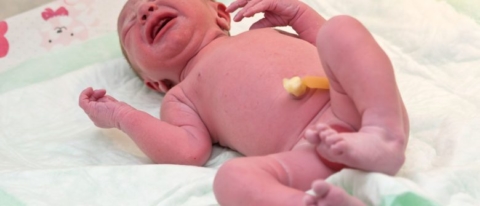 7 Cara Membersihkan dan Merawat Tali Pusat Bayi Baru Lahir 7 Cara Membersihkan dan Merawat Tali Pusat Bayi Baru Lahir