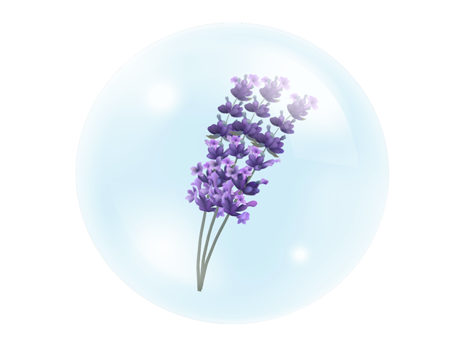 Lavender