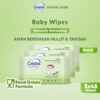 Hand and Mouth Wipes Naturally Refreshing