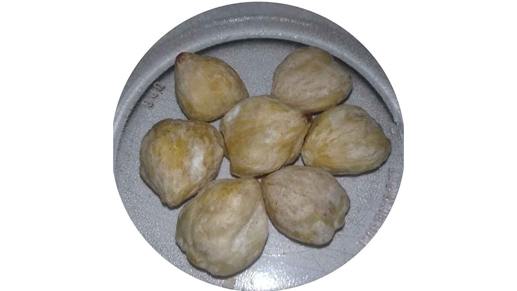 kemiri