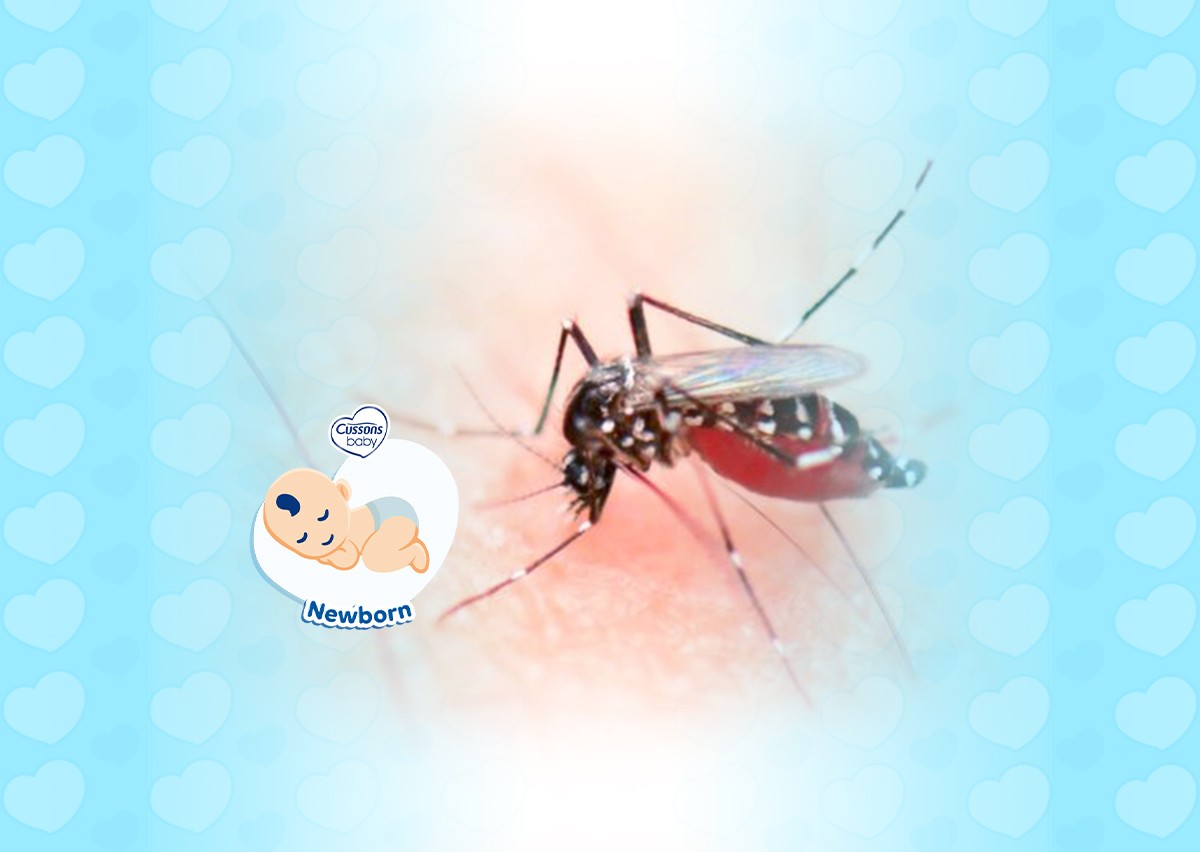38_NEWBORN_Ketahui Gejala Demam Berdarah Pada Bayi_11zon