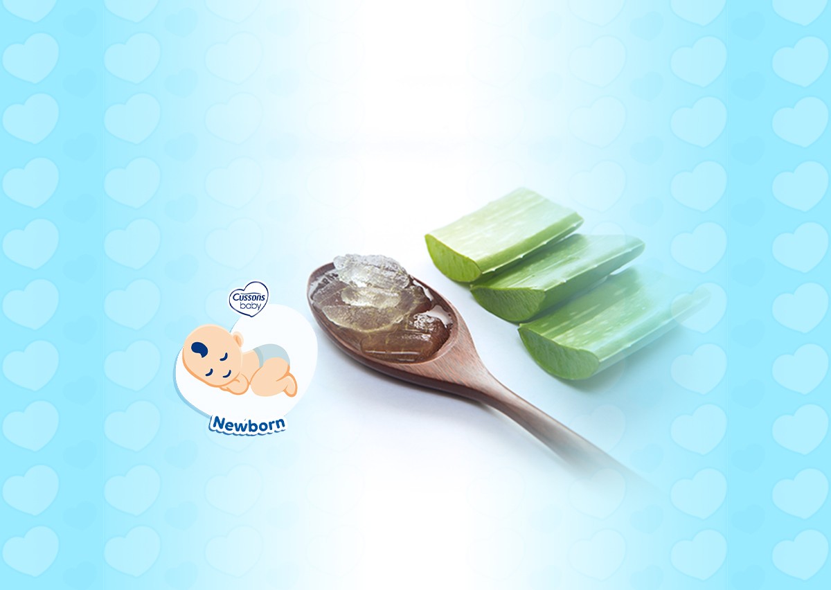 59_NEWBORN_6 Khasiat Lidah Buaya Untuk Rambut Bayi_11zon