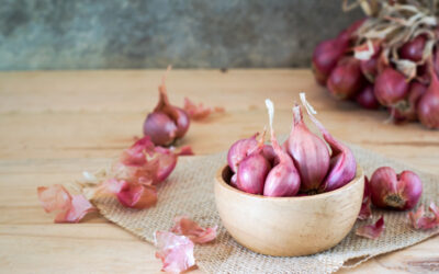 Cek 3 Manfaat Bawang Merah untuk Bayi Pilek dan Cara Menggunakannya di Sini!