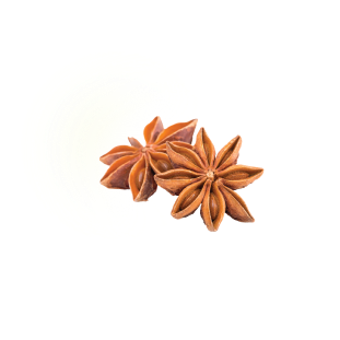 star-anise Star Anise
