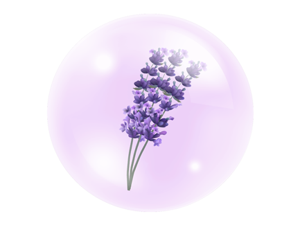 Lavender Oil
