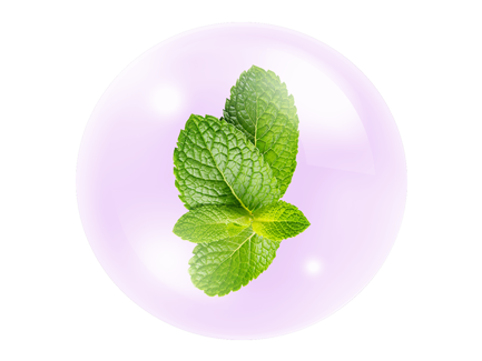Peppermint Oil