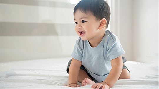 Kebutuhan Bayi & Batita